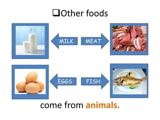 Other foods

    MILK   MEAT




   EGGS    FISH



come from animals.
 