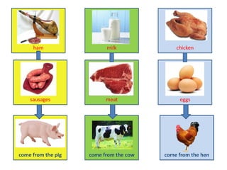 ham                  milk              chicken




    sausages              meat               eggs




come from the pig   come from the cow   come from the hen
 