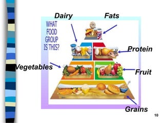 10
Grains
Fruit
Vegetables
Protein
Dairy Fats
 