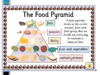 5
Food Pyramid
 