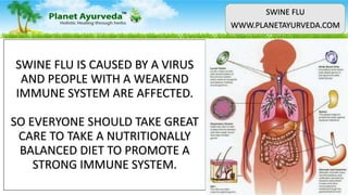 SWINE FLU IS CAUSED BY A VIRUS
AND PEOPLE WITH A WEAKEND
IMMUNE SYSTEM ARE AFFECTED.
SO EVERYONE SHOULD TAKE GREAT
CARE TO TAKE A NUTRITIONALLY
BALANCED DIET TO PROMOTE A
STRONG IMMUNE SYSTEM.
SWINE FLU
WWW.PLANETAYURVEDA.COM
 