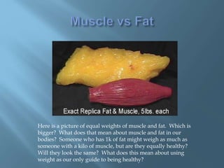 Here is a picture of equal weights of muscle and fat. Which is
bigger? What does that mean about muscle and fat in our
bodies? Someone who has 1k of fat might weigh as much as
someone with a kilo of muscle, but are they equally healthy?
Will they look the same? What does this mean about using
weight as our only guide to being healthy?
 