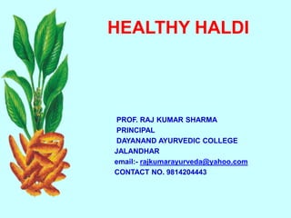 HEALTHY HALDI
PROF. RAJ KUMAR SHARMA
PRINCIPAL
DAYANAND AYURVEDIC COLLEGE
JALANDHAR
email:- rajkumarayurveda@yahoo.com
CONTACT NO. 9814204443
 