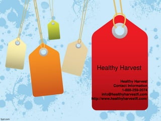 Healthy Harvest
Healthy Harvest
Contact Information
1-888-259-2074
info@healthyharvestfl.com
http://www.healthyharvestfl.com/
 