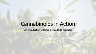 Cannabinoids in Action
An Introduction to Hemp-Derived CBD Products
 