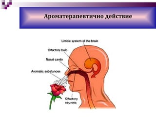 Ароматерапевтично действие 