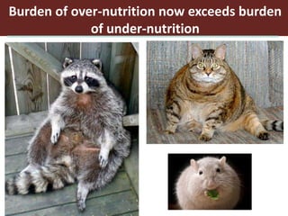 Livestock for healthy lives