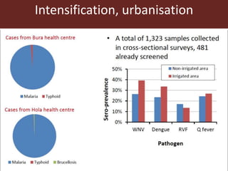 Livestock for healthy lives
