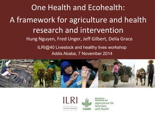 One Health and Ecohealth:
A framework for agriculture and health
research and intervention
Hung Nguyen, Fred Unger, Jeff Gilbert, Delia Grace
ILRI@40 Livestock and healthy lives workshop
Addis Ababa, 7 November 2014
 
