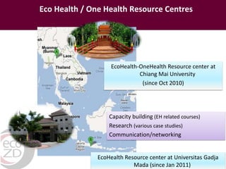 One Health and Ecohealth: A framework for agriculture and health research and intervention