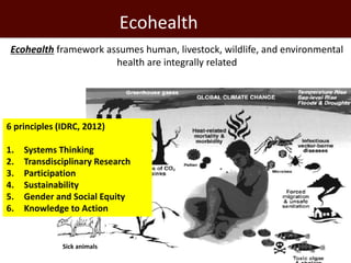 One Health and Ecohealth: A framework for agriculture and health research and intervention