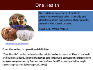 One Health and Ecohealth: A framework for agriculture and health research and intervention
