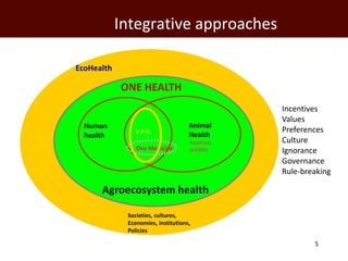One Health and Ecohealth: A framework for agriculture and health research and intervention