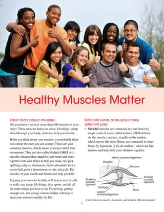 Healthy Muscles Matter
Basic facts about muscles

Different kinds of muscles have
different jobs

Did you know you have more than 600 muscles in your
body? These muscles help you move, lift things, pump
blood through your body, and even help you breathe.

•• Skeletal muscles are connected to your bones by
tough cords of tissue called tendons (TEN-duhns).
As the muscle contracts, it pulls on the tendon,
which moves the bone. Bones are connected to other
bones by ligaments (LIG-uh-muhnts), which are like
tendons and help hold your skeleton together.

When you think about your muscles, you probably think
most about the ones you can control. These are your
voluntary muscles, which means you can control their
movements. They are also called skeletal (SKEL-i-tl)
muscles, because they attach to your bones and work
together with your bones to help you walk, run, pick
up things, play an instrument, throw a baseball, kick a
soccer ball, push a lawnmower, or ride a bicycle. The
muscles of your mouth and throat even help you talk!
Keeping your muscles healthy will help you to be able
to walk, run, jump, lift things, play sports, and do all
the other things you love to do. Exercising, getting
enough rest, and eating a balanced diet will help to
keep your muscles healthy for life.

A joint showing muscles, ligaments, and tendons. (Representation)

1

 