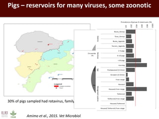 Healthy people, animals and ecosystems: The role of CGIAR research