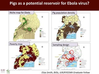 Healthy people, animals and ecosystems: The role of CGIAR research
