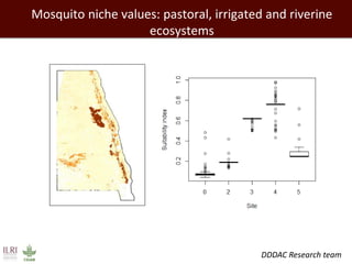 Healthy people, animals and ecosystems: The role of CGIAR research