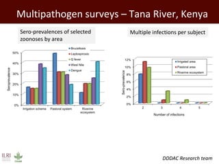 Healthy people, animals and ecosystems: The role of CGIAR research