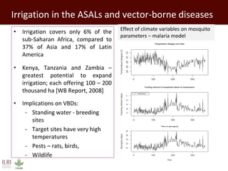 Healthy people, animals and ecosystems: The role of CGIAR research