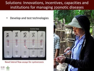 Healthy people, animals and ecosystems: The role of CGIAR research