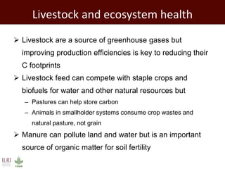 Healthy people, animals and ecosystems: The role of CGIAR research