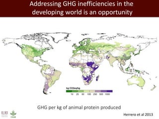 Healthy people, animals and ecosystems: The role of CGIAR research