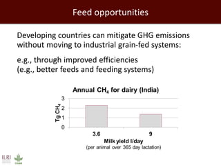 Healthy people, animals and ecosystems: The role of CGIAR research