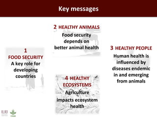 Healthy people, animals and ecosystems: The role of CGIAR research