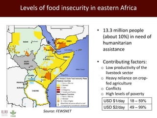 Healthy people, animals and ecosystems: The role of CGIAR research