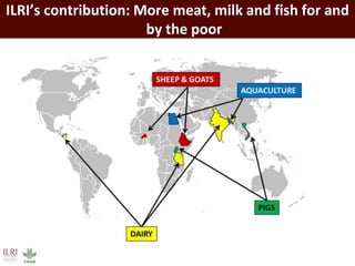 Healthy people, animals and ecosystems: The role of CGIAR research