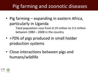Healthy people, animals and ecosystems: The role of CGIAR research