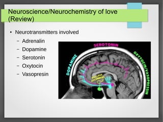 Neuroscience/Neurochemistry of love
(Review)
● Neurotransmitters involved
– Adrenalin
– Dopamine
– Serotonin
– Oxytocin
– Vasopresin
 