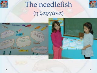 The needlefish
(η ζαργάνα)
 