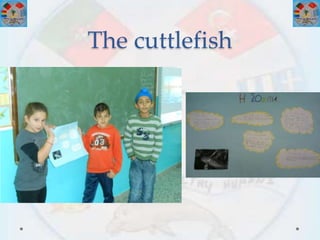The cuttlefish
 