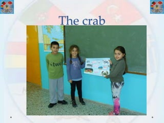 The crab
 