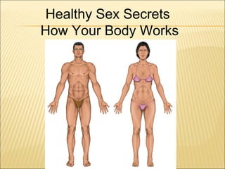 Healthy Sex Secrets
How Your Body Works
 