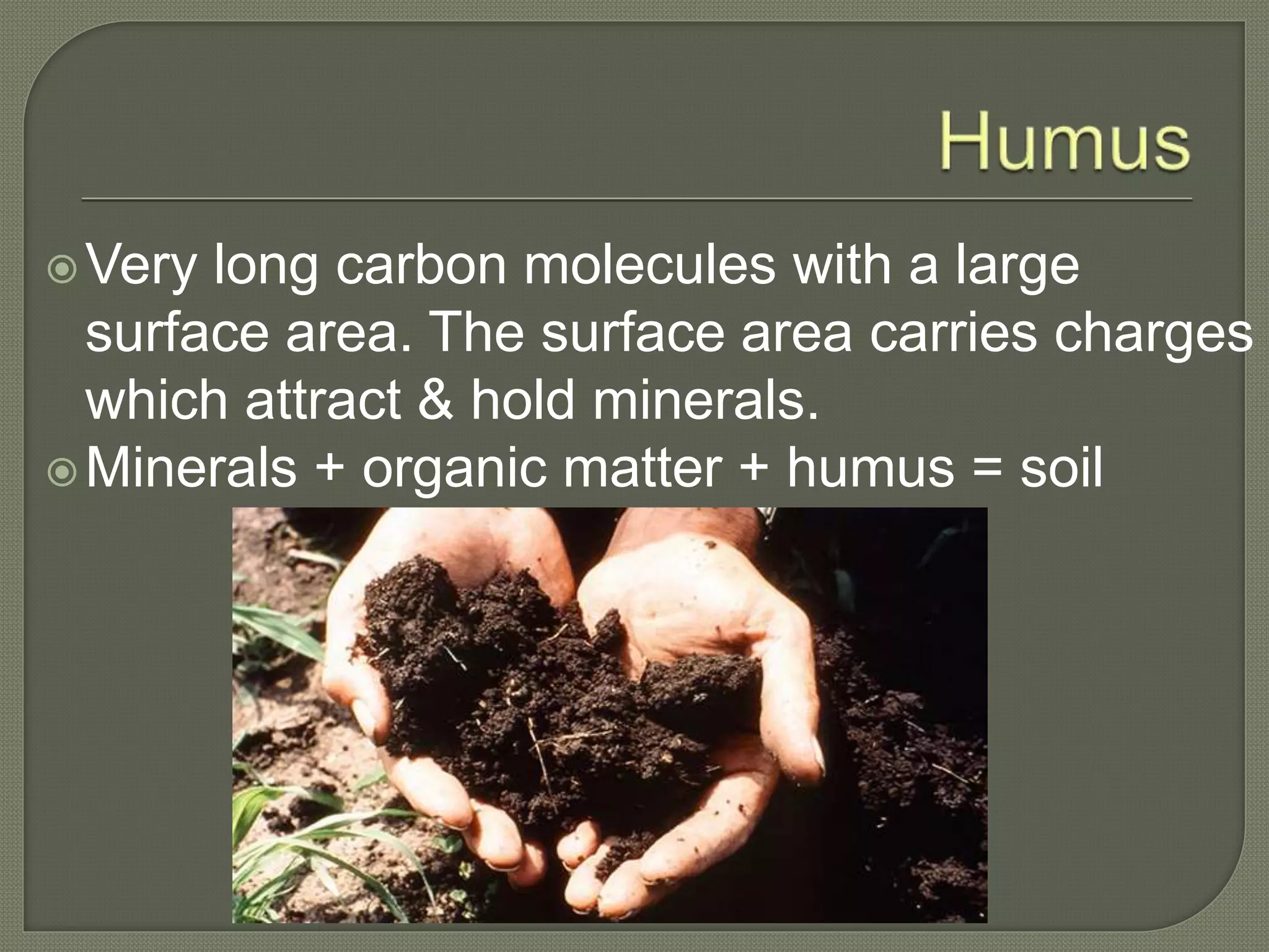 Healthy soil healthy food healthy people | PPTX