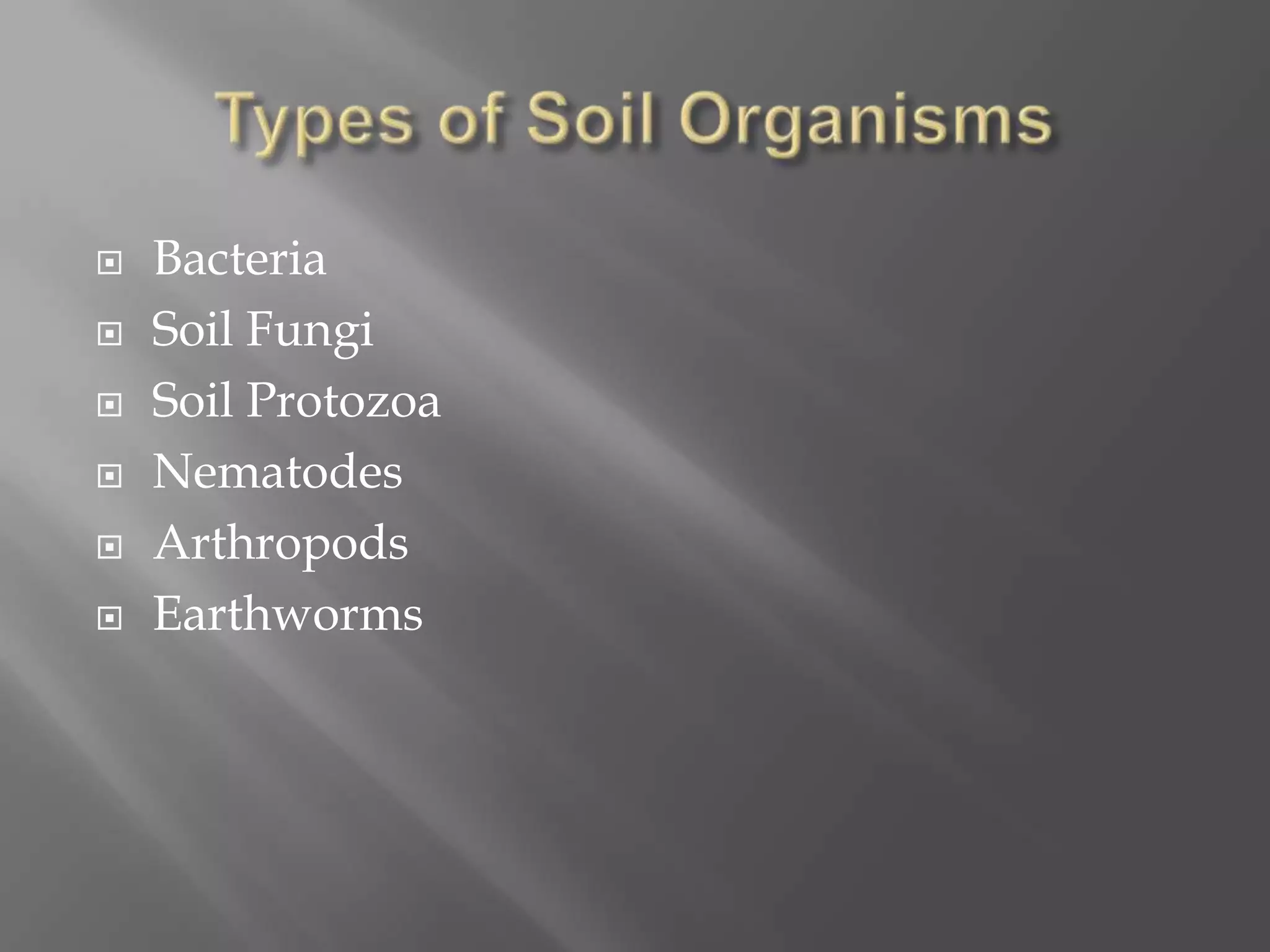  Bacteria
 Soil Fungi
 Soil Protozoa
 Nematodes
 Arthropods
 Earthworms
 