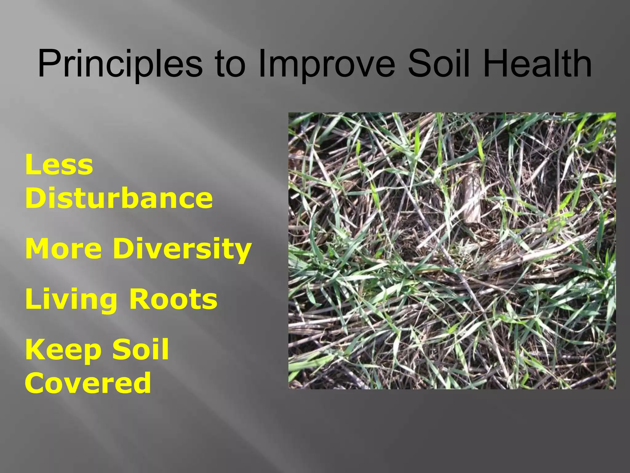 Principles to Improve Soil Health
Less
Disturbance
More Diversity
Living Roots
Keep Soil
Covered
 