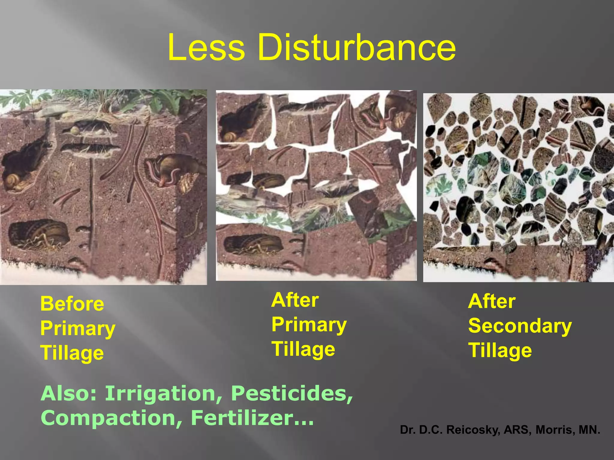 Before
Primary
Tillage
After
Primary
Tillage
After
Secondary
Tillage
Dr. D.C. Reicosky, ARS, Morris, MN.
Less Disturbance
Also: Irrigation, Pesticides,
Compaction, Fertilizer…
 
