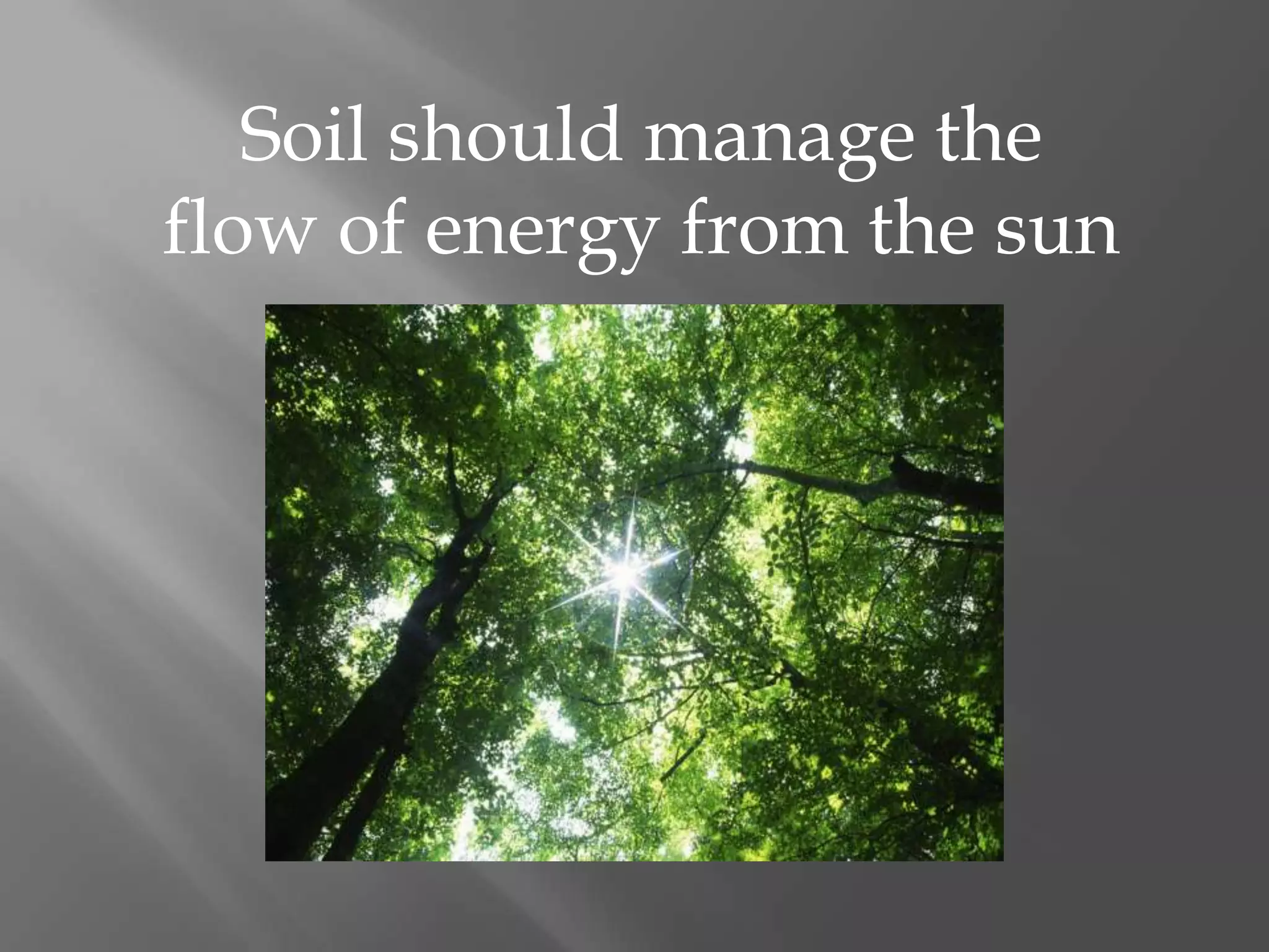 Soil should manage the
flow of energy from the sun
 