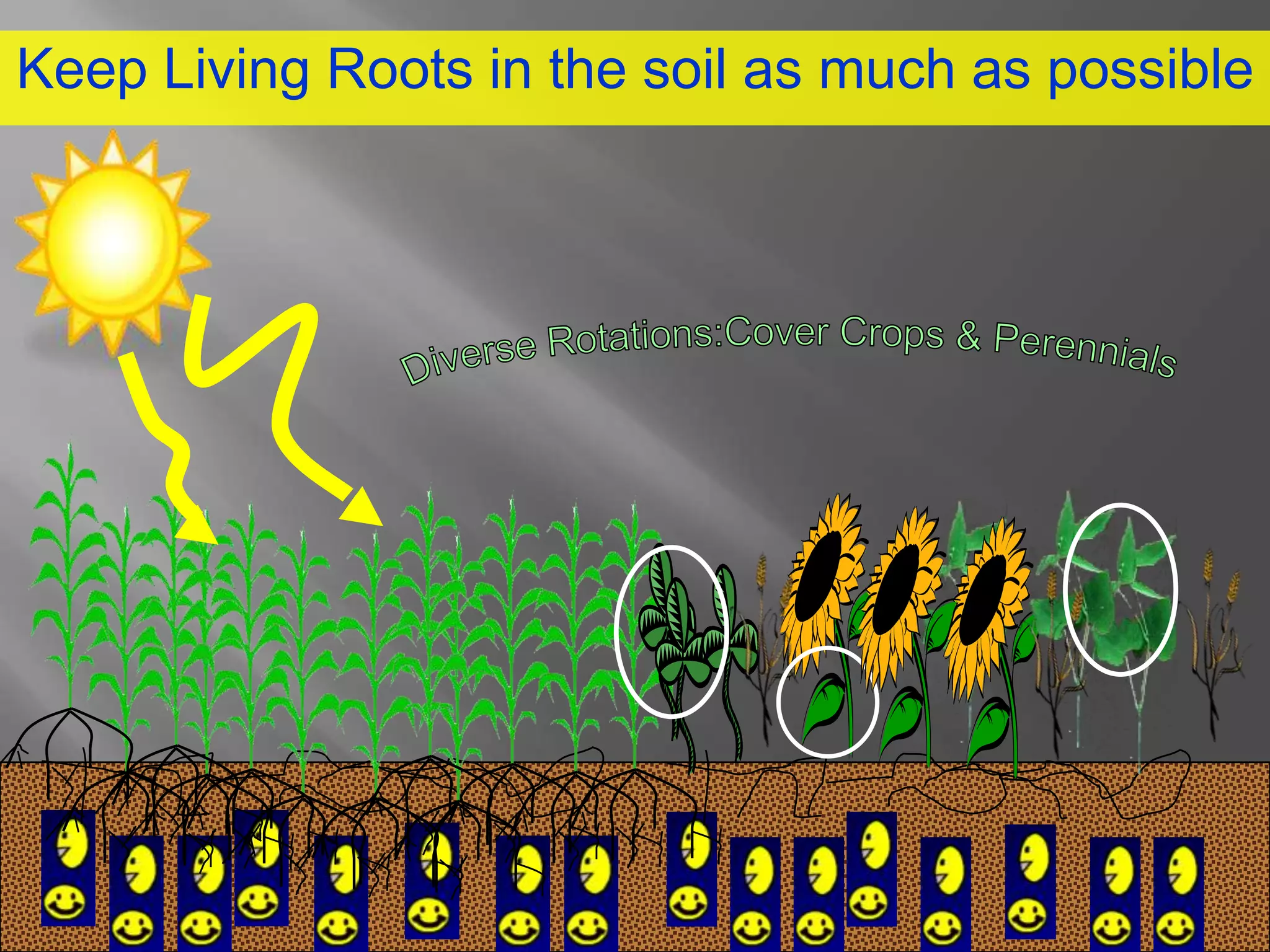 Keep Living Roots in the soil as much as possible
 
