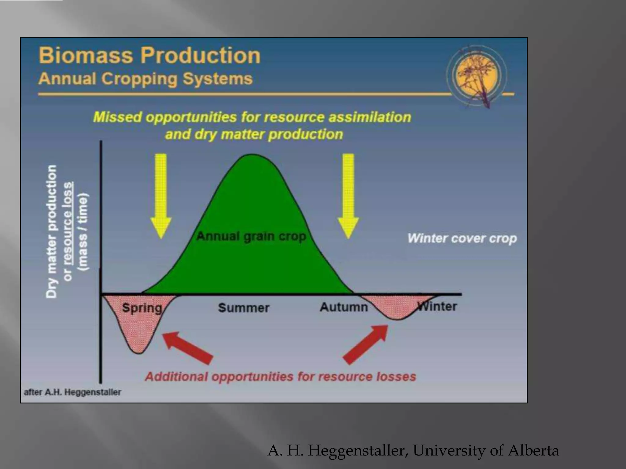 A. H. Heggenstaller, University of Alberta
 