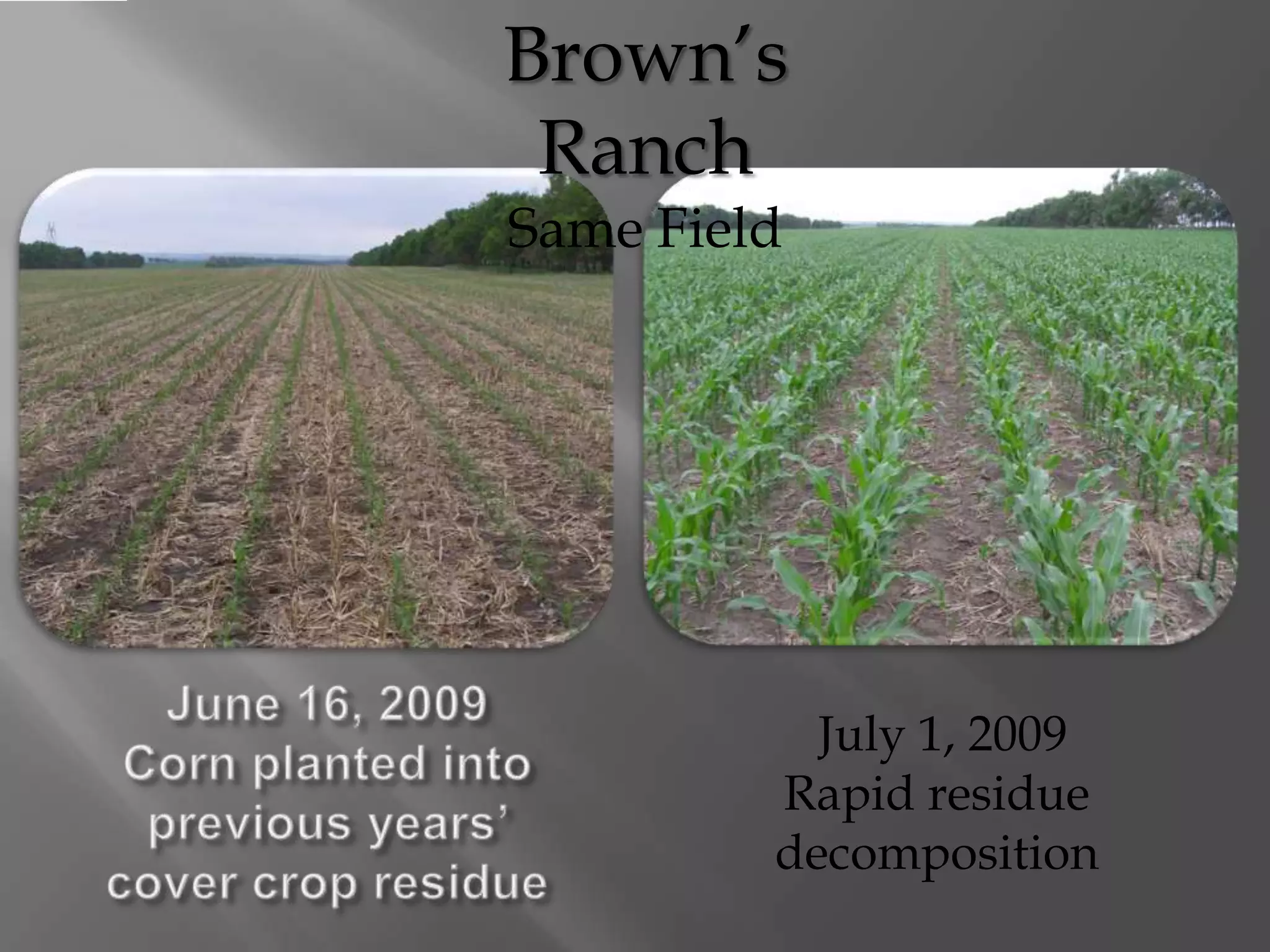 Brown’s
Ranch
Same Field
July 1, 2009
Rapid residue
decomposition
 
