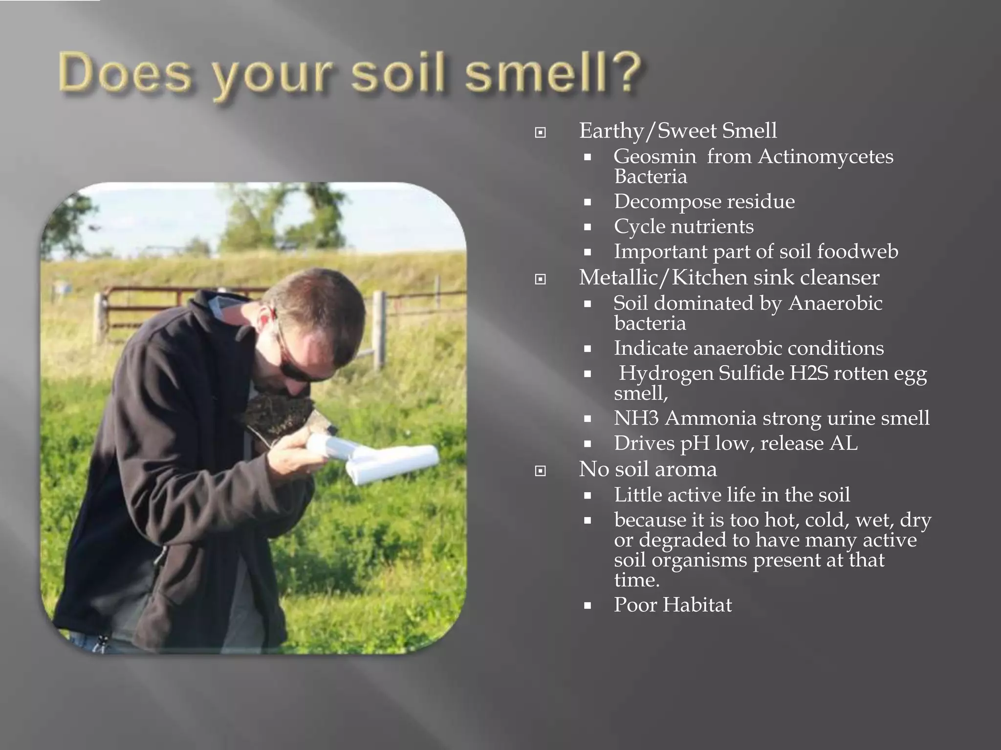  Earthy/Sweet Smell
 Geosmin from Actinomycetes
Bacteria
 Decompose residue
 Cycle nutrients
 Important part of soil foodweb
 Metallic/Kitchen sink cleanser
 Soil dominated by Anaerobic
bacteria
 Indicate anaerobic conditions
 Hydrogen Sulfide H2S rotten egg
smell,
 NH3 Ammonia strong urine smell
 Drives pH low, release AL
 No soil aroma
 Little active life in the soil
 because it is too hot, cold, wet, dry
or degraded to have many active
soil organisms present at that
time.
 Poor Habitat
 
