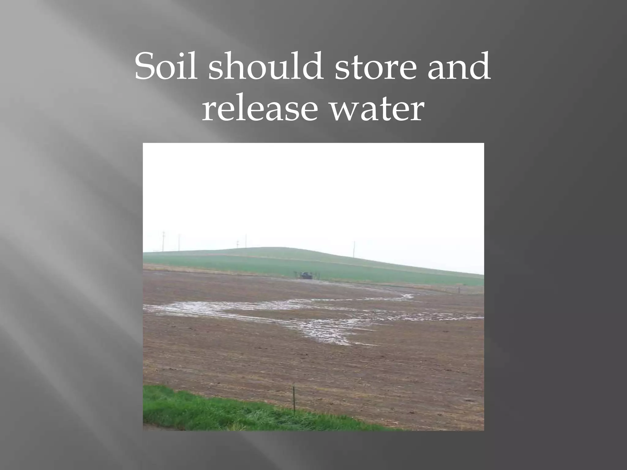Soil should store and
release water
 