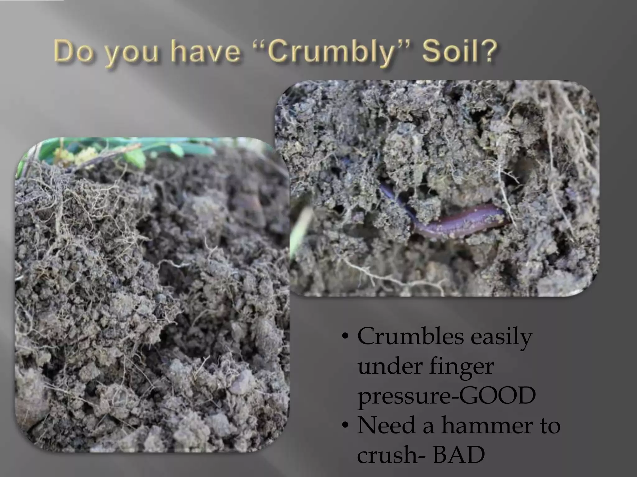 • Crumbles easily
under finger
pressure-GOOD
• Need a hammer to
crush- BAD
 