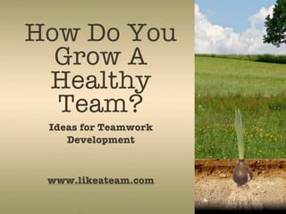 How Do You
  Grow A
 Healthy
  Team?
 Ideas for Teamwork
    Development



 www.likeateam.com
 