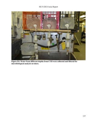 HLY1202 Cruise Report
137
Figure E6. Water from different depths from CTD were collected and filtered for
microbiological analysis on-shore.
 