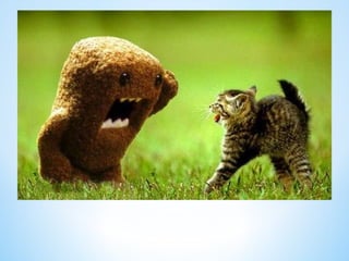 Cute Creatures 